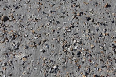 Sahildeki zemine yakın görüş