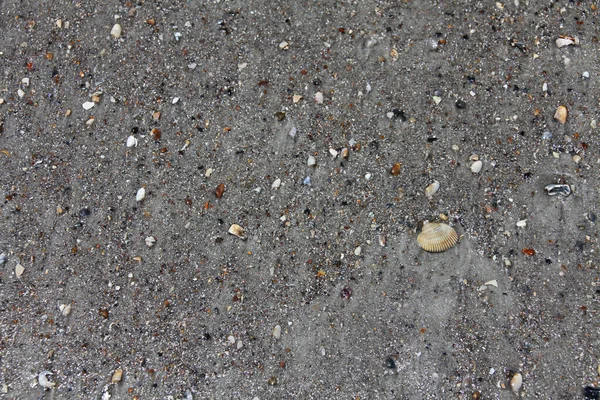 Nära Utsikt Över Marken Stranden — Stockfoto