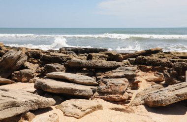 Kuzey Florida 'nın Atlantik kıyısındaki Flagler Plajı