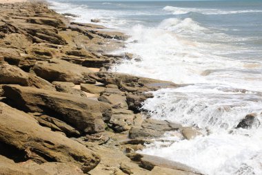 Kuzey Florida 'nın Atlantik kıyısındaki Flagler Plajı