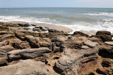 Kuzey Florida 'nın Atlantik kıyısındaki Flagler Plajı