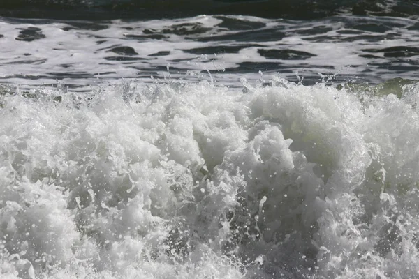 Florida 'nın Atlantik kıyısındaki okyanus dalgaları 