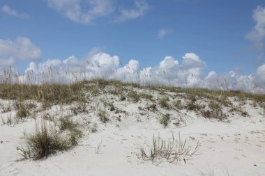 Yazın Atlantik kıyısında Florida sahilinin beyaz kum tepecikleri