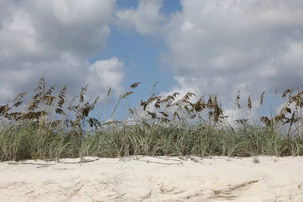 Fehér Homokdűne Florida Strand Atlanti Óceán Partján Nyáron — Stock Fotó