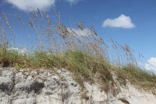 Fehér Homokdűne Florida Strand Atlanti Óceán Partján Nyáron — Stock Fotó