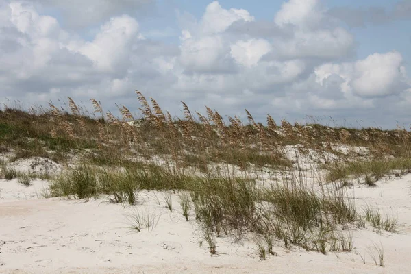 Weiße Sanddüne Strand Von Florida Der Atlantikküste Sommer — Stockfoto