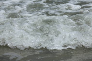 Florida 'nın Atlantik kıyısında okyanus köpüğü. 