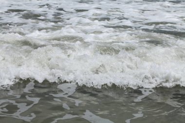 Florida 'nın Atlantik kıyısında okyanus köpüğü. 