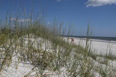 Atlantik sahili Florida sahilinin beyaz kum tepesi