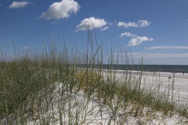 Atlantik sahili Florida sahilinin beyaz kum tepesi