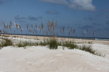 Atlantik sahili Florida sahilinin beyaz kum tepesi