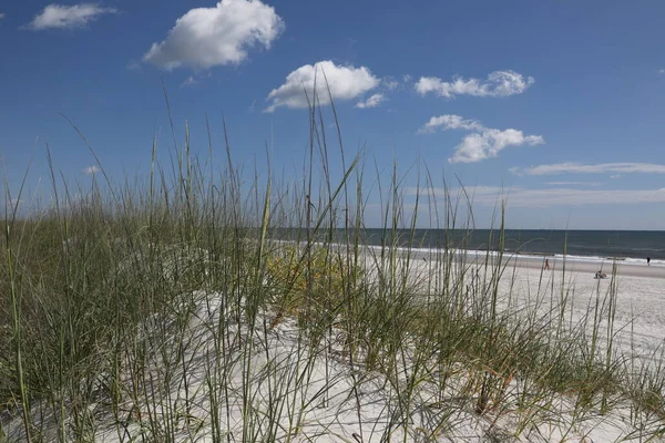 Atlantik sahili Florida sahilinin beyaz kum tepesi