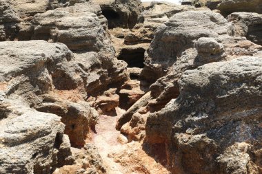 Florida 'nın Atlantik kıyısında kum kayası mağarası. 