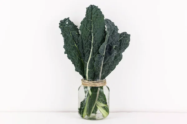 Delicate Leaves Tuscan Black Kale Glass Bottle 스톡 사진