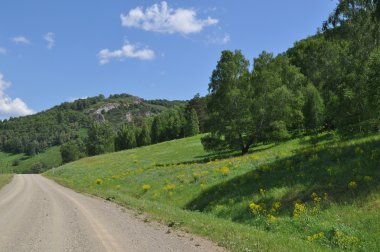 Ağaçlar ve çayır çiçeklerle yeşil tepeler