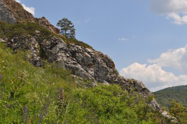 Kayalar ile güneşli manzara