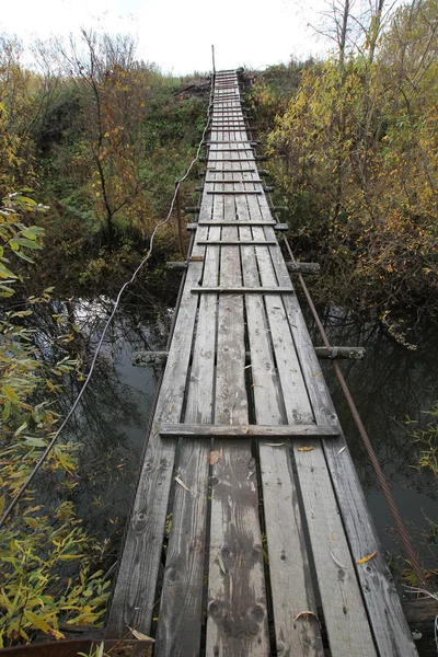 Asma köprü platalar