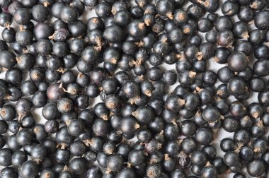 Frenk üzümü çilek