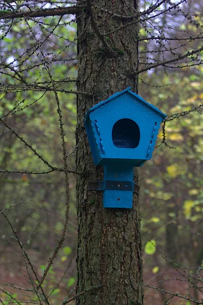 Blauw Vogelhuisje Een Boomstam Het Herfstbos — Stockfoto