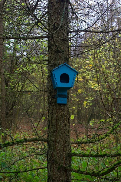 Kék Madárház Egy Fatörzsön Őszi Erdőben — Stock Fotó