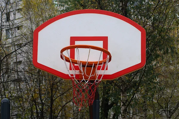 Bahçesinde Basketbol Potası Olan Bir Kalkan — Stok fotoğraf