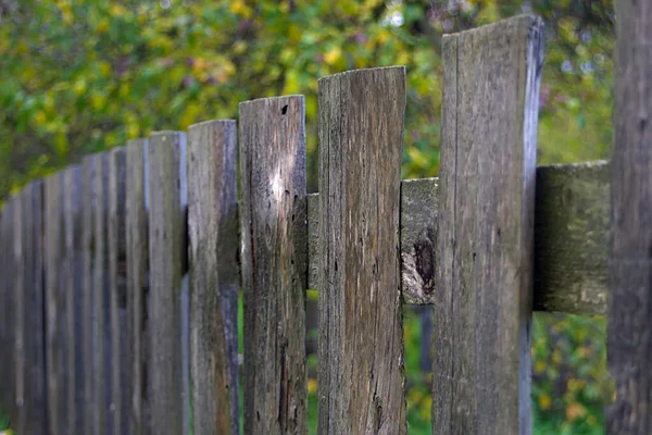 秋の庭の古い木の柵 — ストック写真