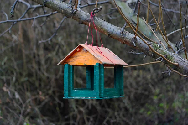 Vogelfutterhäuschen Form Eines Hauses Auf Einem Ast — Stockfoto