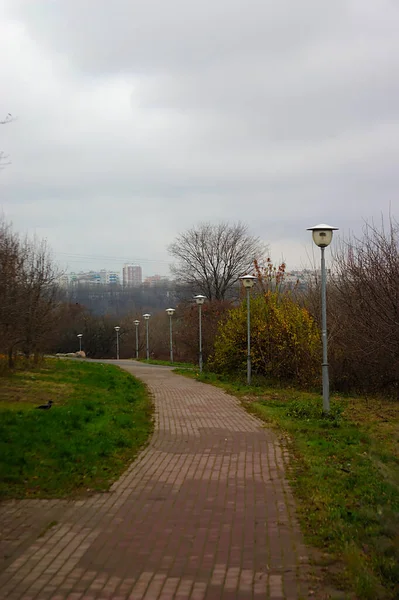 Sentier Pédestre Dans Zone Loisirs Automne — Photo