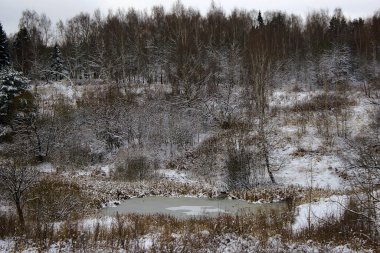 Şehrin varoşlarındaki ormanlık alana ilk kar yağdı.