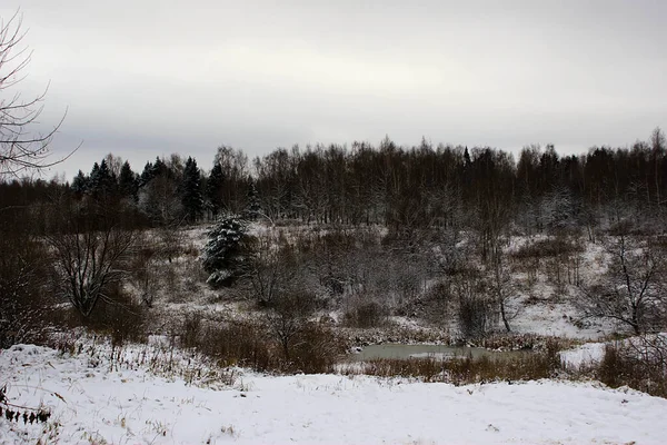 Kaupungin Laitamilla Sijaitsevan Metsäalueen Ensimmäinen Lumi — kuvapankkivalokuva