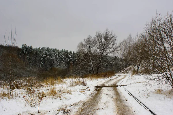 城市郊区森林地区的第一场雪 — 图库照片