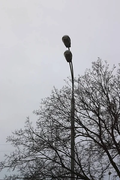 Luz Poste Lâmpada Com Lâmpada Dupla — Fotografia de Stock