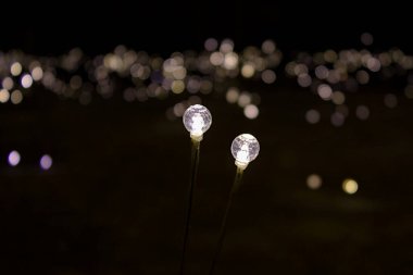 Kış akşamında parktaki ışıklar