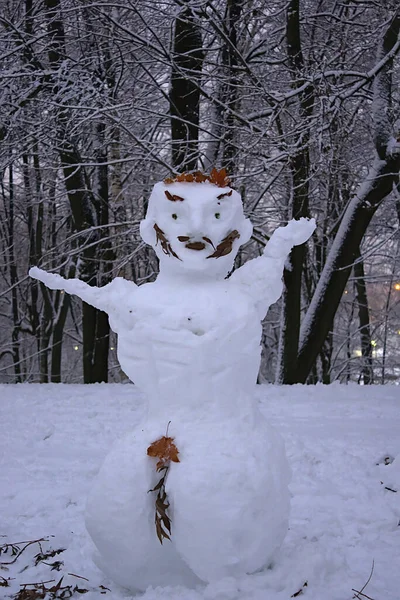 Muñeco Nieve Parque Una Noche Invierno —  Fotos de Stock