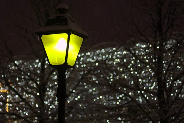 Las Luces Parque Una Noche Invierno —  Fotos de Stock