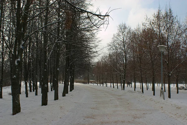 Gehweg Gehbereich Winter — Stockfoto