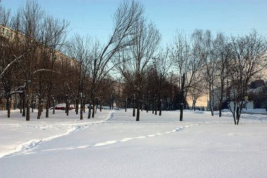 Derin, yumuşak karda çiğnenmiş ayak izleri.