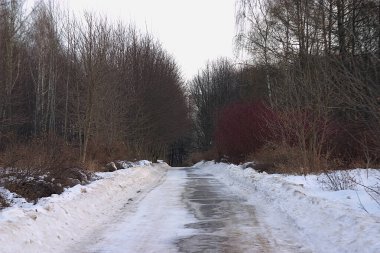 Kış parkında kardan temizlenmiş bir yol.