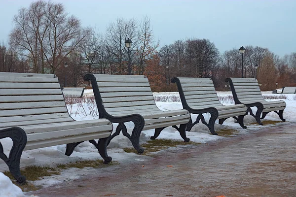 Скамейки Аллее Зимнем Парке — стоковое фото
