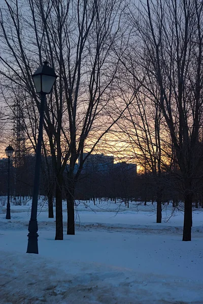 Cielo Invierno Por Mañana Las Afueras Ciudad —  Fotos de Stock