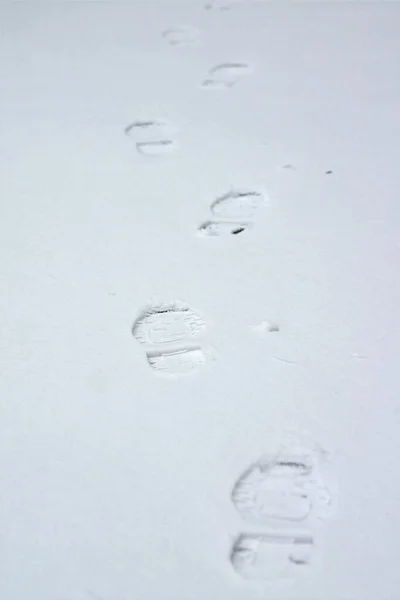 Una Cadena Huellas Nieve Recién Caída —  Fotos de Stock