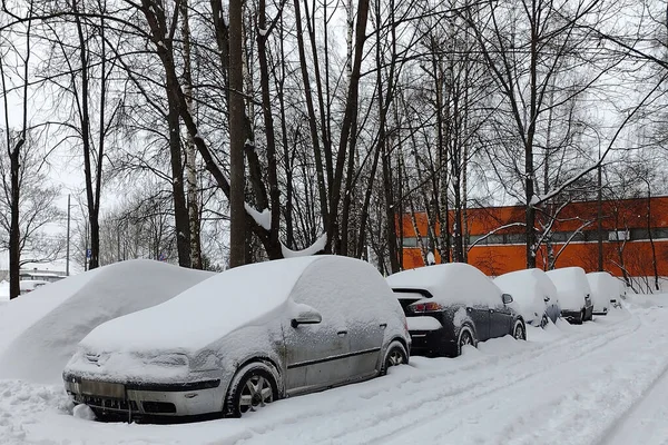 cars under the snow that fell at night