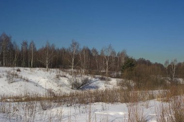 Ormanın kıyısında, şehrin eteklerinde.