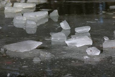 Bir bahar göletinde eriyen buz parçaları