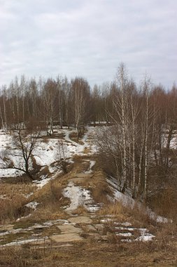 Orman parkının varoşlarında bir bahar sabahı