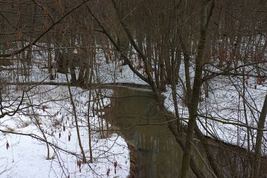 İlkbaharda karla kaplı kıyıların arasında orman nehri