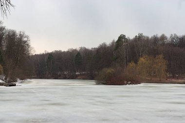 İlkbaharda eski parktaki gölün kıyısındaki ağaçlar