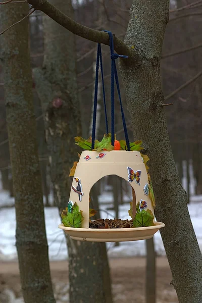 Original Vogelfutterhäuschen Auf Dem Ast — Stockfoto