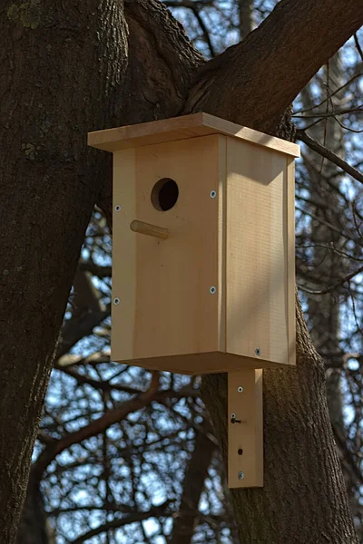 Dřevěná Ptačí Budka Stromě — Stock fotografie