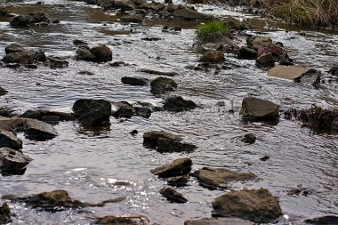 Bir vadideki küçük bir nehrin suyu